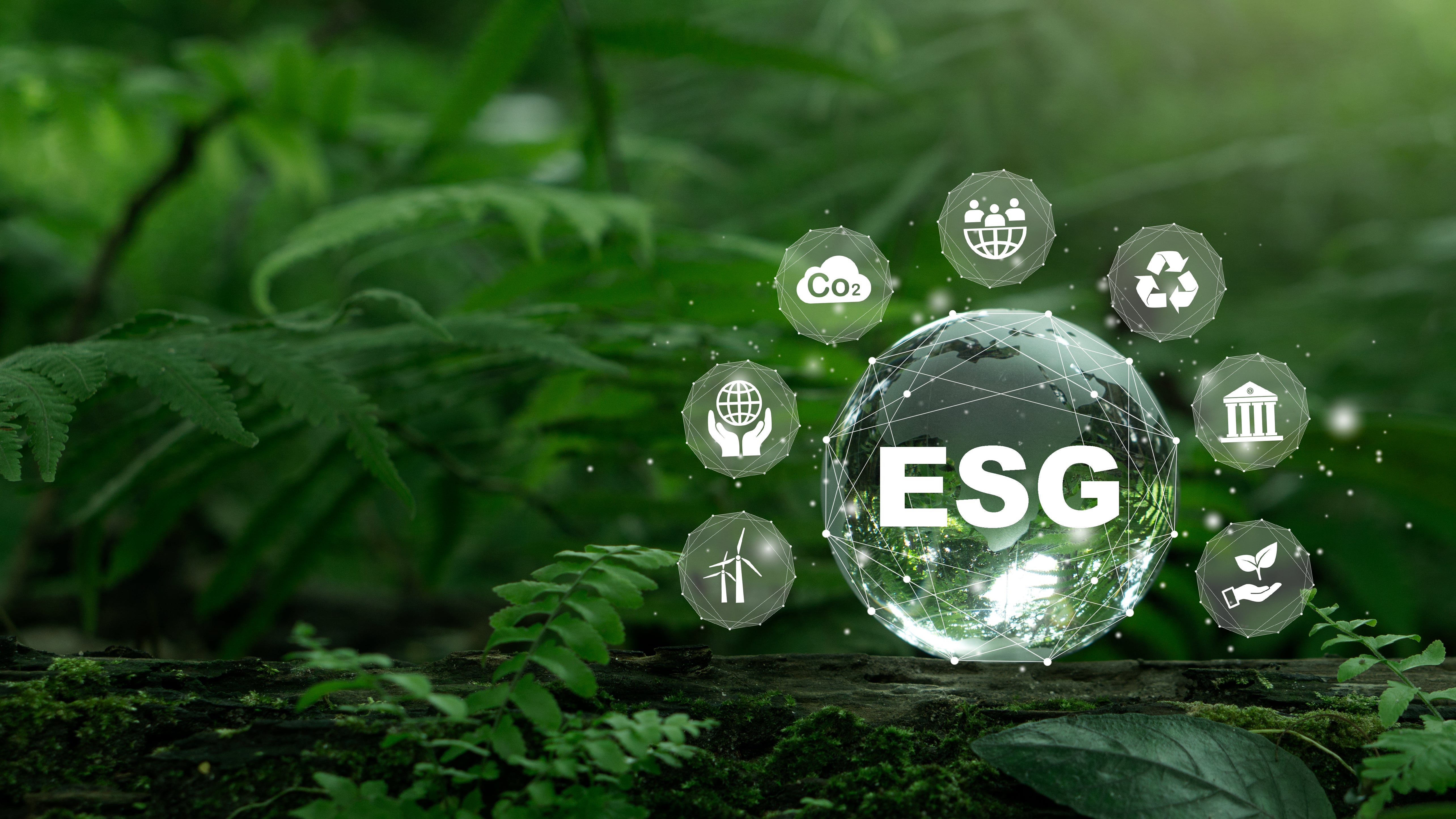 ESG Consulting